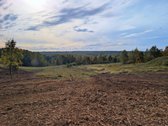 Kartu parduodami du besiribojantys sklypai: - nuotraukos Nr. 3