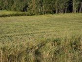 Plungės rajone, Prūsalių kaime, labai ramioje - nuotraukos Nr. 2
