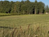 Plungės rajone, Prūsalių kaime, labai ramioje - nuotraukos Nr. 3