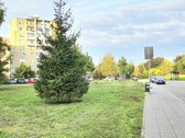 Jaukus 1 Kambario Butas Gamtos Apsuptyje – - nuotraukos Nr. 13
