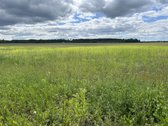 Parduodamas 2,6400 ha žemės ūkio paskirties - nuotraukos Nr. 6