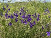 Parduodamas 2,6400 ha žemės ūkio paskirties - nuotraukos Nr. 5