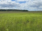 Parduodamas 2,6400 ha žemės ūkio paskirties - nuotraukos Nr. 3