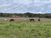 Keturių dvibučių projektas, Šlienavoje, Kauno - nuotraukos Nr. 21