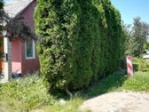 Parduodamas 6,15 a sodo sklypas su nameliu ir - nuotraukos Nr. 2
