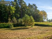 Parduodamas 10 Arų Namų Valdos Sklypas Gamtos - nuotraukos Nr. 3