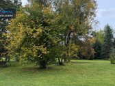 Erdvus Namas 1 Ha Sklype Šalia Kauno Marių Ir - nuotraukos Nr. 18