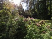 Parduodamas išskirtinis klasikinio stiliaus - nuotraukos Nr. 3