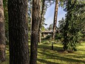 Parduodamas išskirtinis klasikinio stiliaus - nuotraukos Nr. 15