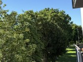 Nuomojamas jaukus ir erdvus, dviejų kambarių - nuotraukos Nr. 10