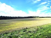 Parduodamas 6,58 ha žemes sklypas Kauno r. - nuotraukos Nr. 3