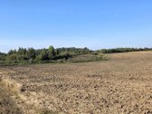 Parduodamas 6,58 ha žemes sklypas Kauno r. - nuotraukos Nr. 5
