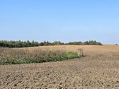 Parduodamas 6,58 ha žemes sklypas Kauno r. - nuotraukos Nr. 9