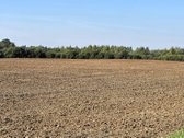 Parduodamas 6,58 ha žemes sklypas Kauno r. - nuotraukos Nr. 10