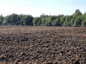 Parduodamas 6,58 ha žemes sklypas Kauno r. - nuotraukos Nr. 11