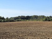 Parduodamas 6,58 ha žemes sklypas Kauno r. - nuotraukos Nr. 12