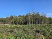 Parduodamas 6,58 ha žemes sklypas Kauno r. - nuotraukos Nr. 15