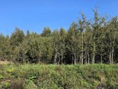Parduodamas 6,58 ha žemes sklypas Kauno r. - nuotraukos Nr. 16