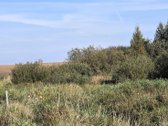 Parduodamas 6,58 ha žemes sklypas Kauno r. - nuotraukos Nr. 17