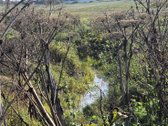 Parduodamas 6,58 ha žemes sklypas Kauno r. - nuotraukos Nr. 18