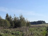 Parduodamas 6,58 ha žemes sklypas Kauno r. - nuotraukos Nr. 19