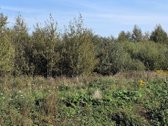 Parduodamas 6,58 ha žemes sklypas Kauno r. - nuotraukos Nr. 20