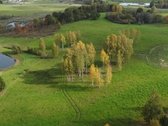 Parduodamas 5,6059 Ha Žemės Sklypas Šalia Utenos - nuotraukos Nr. 6