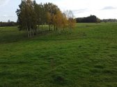 Parduodamas 5,6059 Ha Žemės Sklypas Šalia Utenos - nuotraukos Nr. 17