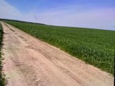 Parduodamas 12,84ha žemės ūkio paskirties - nuotraukos Nr. 2
