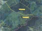 Vientisas 44,5 ha sklypas: Miškas, Žemė ir - nuotraukos Nr. 5
