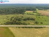 Parduodama Žemės Ūkio Sklypas Šalia Minsko - nuotraukos Nr. 14