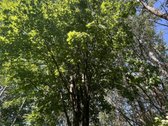 Mažiname Kainą – Kviečiame Apžiūrėti! - nuotraukos Nr. 13