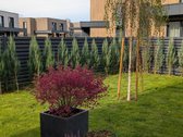 Parduodamas pilnai įrengtas, A++ energetinės - nuotraukos Nr. 16