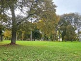 Parduodamas unikalus 3 kambarių butas - nuotraukos Nr. 15