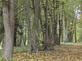 Parduodamas unikalus 3 kambarių butas - nuotraukos Nr. 16