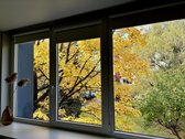 Jaukus 20 m² studijos tipo butas Žvėryne – - nuotraukos Nr. 9