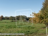 Parduodamas 2 Ha Sklypas Idealiai Tinkantis - nuotraukos Nr. 19