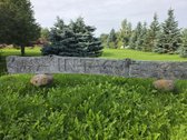 Parduodama erdvi, išpuoselėta sodyba „intynė“ - nuotraukos Nr. 7