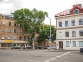 Nuomojamas jaukus studijos tipo butas - nuotraukos Nr. 8