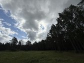 Parduodamas 2,3002 ha komercinės paskirties - nuotraukos Nr. 8
