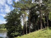 Parduodamas 2,3002 ha komercinės paskirties - nuotraukos Nr. 7