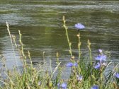 Parduodamas 2,3002 ha komercinės paskirties - nuotraukos Nr. 5