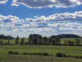 Parduodamas 8,85 ha žemės sklypas šalia - nuotraukos Nr. 5
