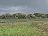 * Parduodamas Labai Jaukus, Erdvios Svetainės - nuotraukos Nr. 21