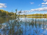 84 Arų Sklypas Su Apie 100 M Bradeso Ežero - nuotraukos Nr. 8