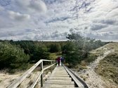 Poilsio erdvė pušų apsuptyje, visai šalia - nuotraukos Nr. 23