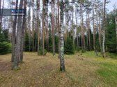 Parduodami 6.1 Ha Sklypai Su Ežero Pakrante - nuotraukos Nr. 12