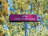 Antakalnyje, viename iš labiausiai vertinamų - nuotraukos Nr. 27