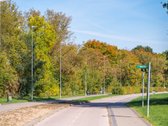 Antakalnyje, viename iš labiausiai vertinamų - nuotraukos Nr. 28