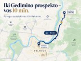 Antakalnyje, viename iš labiausiai vertinamų - nuotraukos Nr. 31